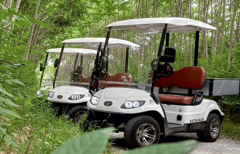 Italcar Attiva 2.6